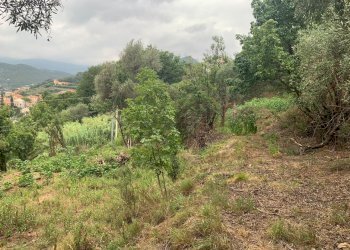 Via Rive (11).jpg - Terreno edificabile Via Rive, Quiliano - foto 17