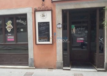 897734-egrdiu22fw.jpg - Locale Commerciale Massa - foto 6