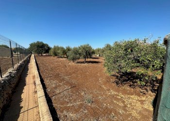 IMG_7891.jpg - Villa SP44, Modica - foto 14