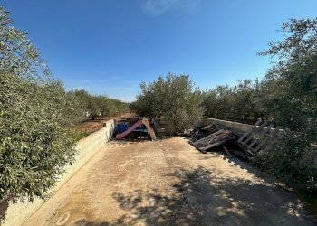 IMG_7892.jpg - Villa SP44, Modica - foto 15