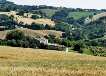 Rustico piazza Roma, Montefelcino - foto 20