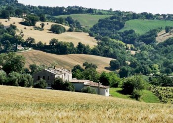 Rustico piazza Roma, Montefelcino - foto 21