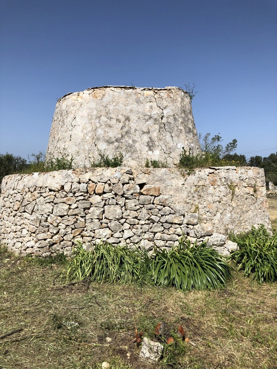 7209F391-0304-42F5-990E-723747DA3FFB.jpeg - Casa indipendente Contrada Malandrino, Ostuni - foto 2