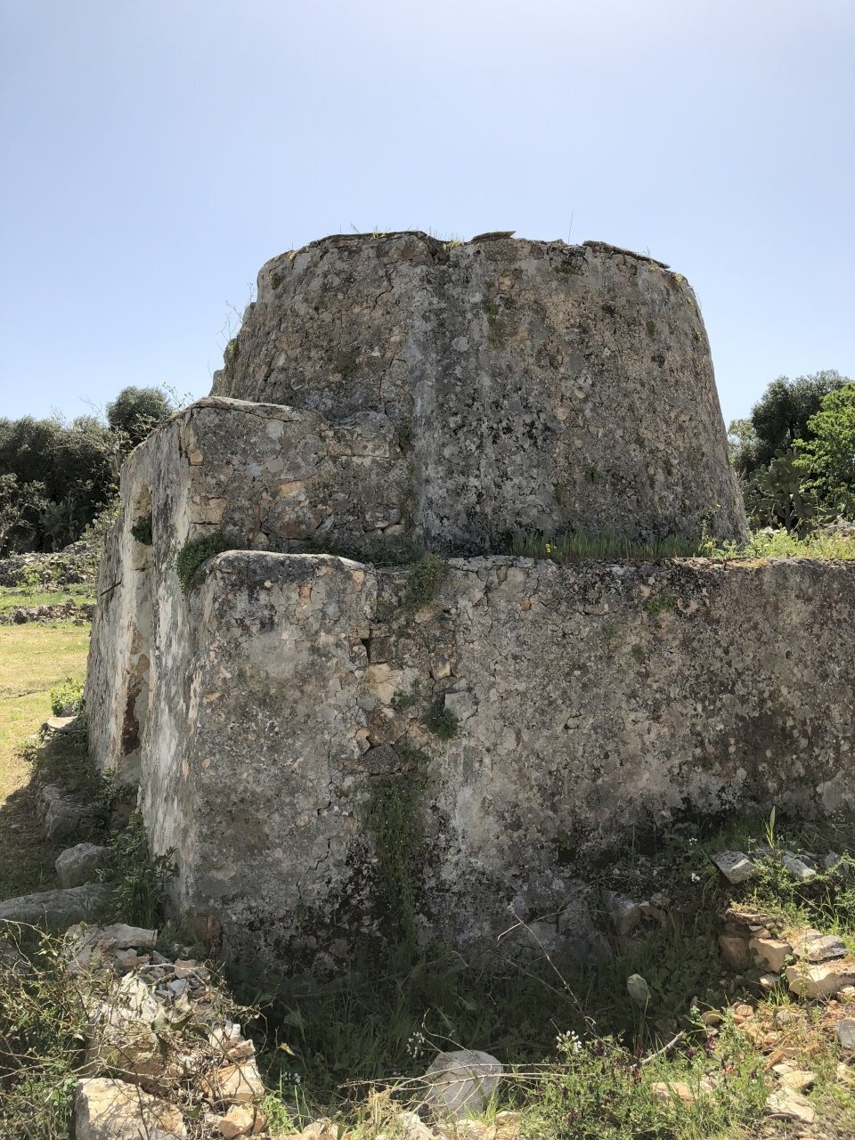 D57D6614-5E15-4869-B9D2-B2ABCF3E9A77.jpeg - Casa indipendente Contrada Malandrino, Ostuni - foto 3