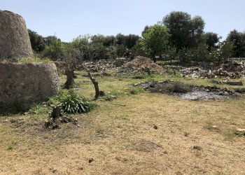 238CF8E7-AEE4-49FE-9F3B-A9091187C1FF.jpeg - Casa indipendente Contrada Malandrino, Ostuni - foto 5