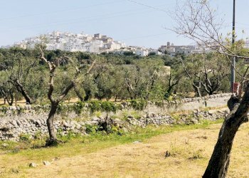 EC4FF75F-ADFB-4EDB-A708-258C5E9AEC6C.jpeg - Casa indipendente Contrada Malandrino, Ostuni - foto 7