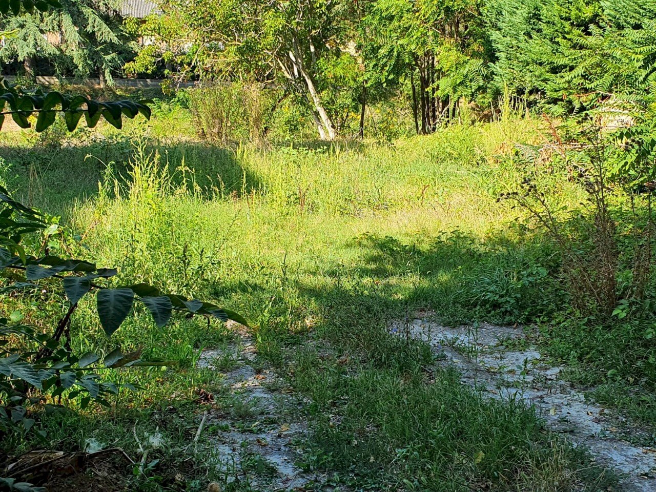 Terreno edificabile Reggio nell'Emilia - foto 1