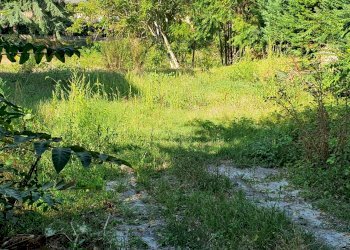 Terreno edificabile Reggio nell'Emilia - foto 1