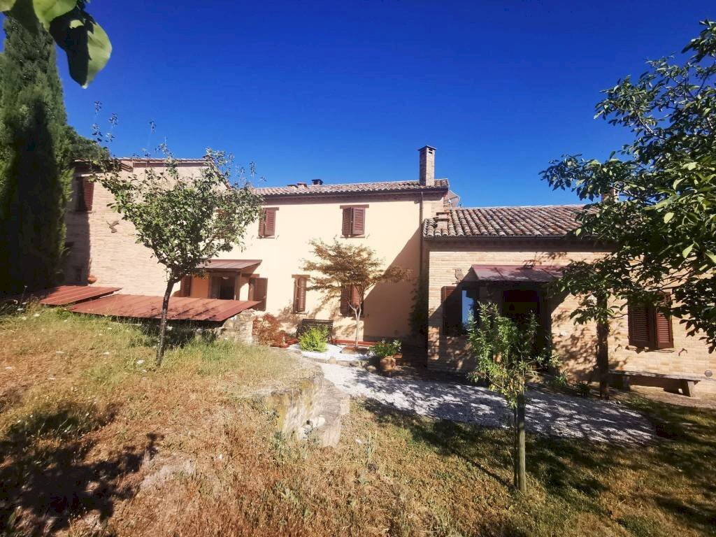 Rustic piazza Roma, Montefelcino - photo 3