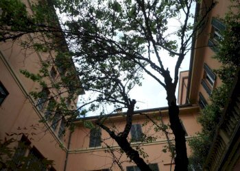 Vista - Appartamento via dell'Indipendenza, 1, Bologna (zona Centro Storico) - foto 22