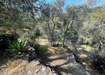 3.JPG - Villa Via San'Agata, Imperia - foto 10