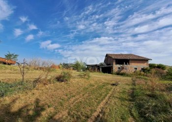 Rustico Bologna - foto 8