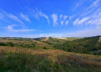 Rustico Bologna - foto 15