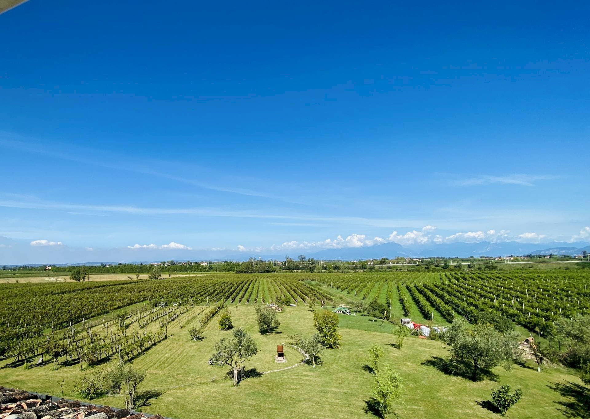 Villa Unifamiliare Località Rondinelli, Peschiera del Garda - foto 2