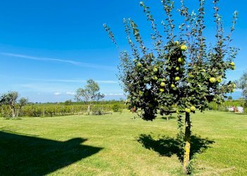 Villa Unifamiliare Località Rondinelli, Peschiera del Garda - foto 15