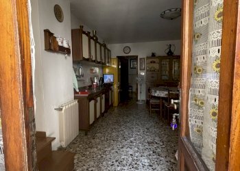 IMG_7972.JPG - Terratetto - Terracielo Stazzema - foto 3