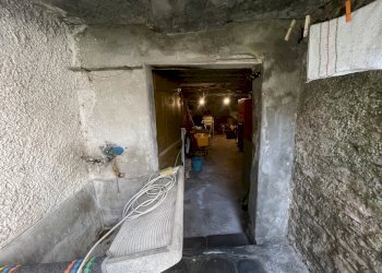 IMG_7968.JPG - Terratetto - Terracielo Stazzema - foto 24