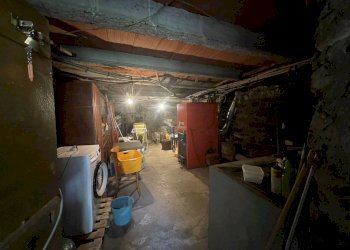 IMG_7969.JPG - Terratetto - Terracielo Stazzema - foto 25