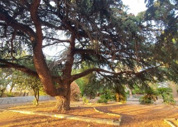 9.jpg - Villa Modica - foto 9