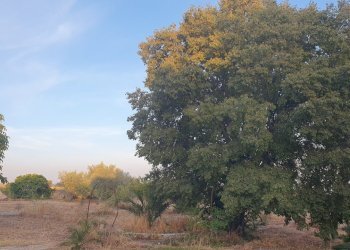 55.jpg - Villa Modica - foto 26