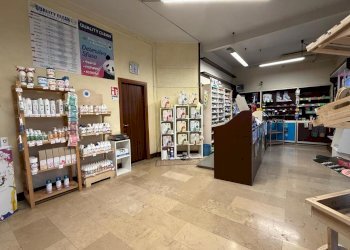 WhatsApp Image 2024-11-18 at 17.31.37.jpeg - Tabaccheria Rovigo - foto 1