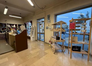 WhatsApp Image 2024-11-18 at 17.31.37 (1).jpeg - Tabaccheria Rovigo - foto 2