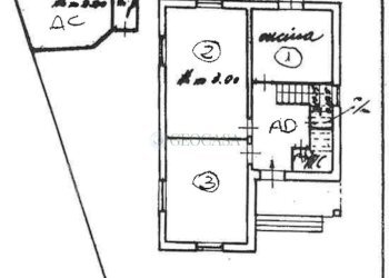 IMG-5041.jpg - Independent house Via Privata Massa Neri 1, Sarzana - photo 27