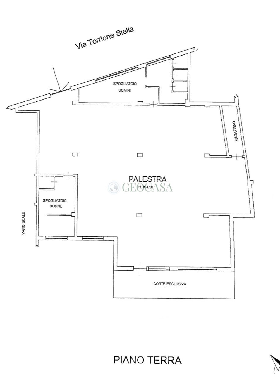 Planimetria.jpg - Palestra e Impianti Sportivi Via Torrione Stella Sud, Sarzana - foto 3