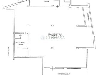 Planimetria.jpg - Palestra e Impianti Sportivi Via Torrione Stella Sud, Sarzana - foto 3