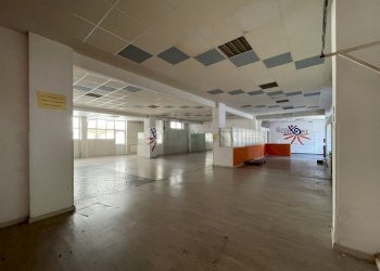 8.jpg - Palestra e Impianti Sportivi Via Torrione Stella Sud, Sarzana - foto 10