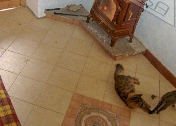 Independent house Borgata Ciampiano , Perosa Argentina - photo 5