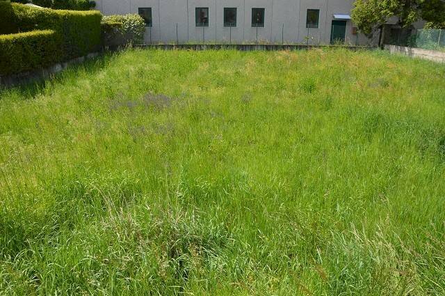 Terreno edificabile via Luigi Vaschi, Gallarate - foto 1