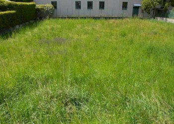 Terreno edificabile via Luigi Vaschi, Gallarate - foto 7