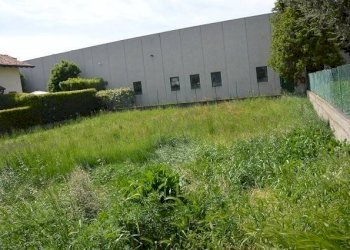 Terreno edificabile via Luigi Vaschi, Gallarate - foto 10