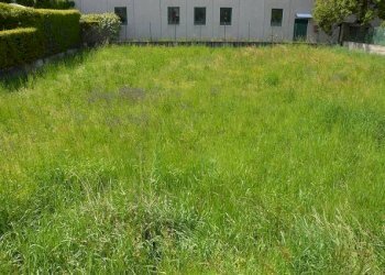 Terreno edificabile via Luigi Vaschi, Gallarate - foto 1