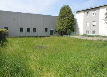 Terreno edificabile via Luigi Vaschi, Gallarate - foto 5