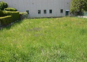 Terreno edificabile via Luigi Vaschi, Gallarate - foto 7