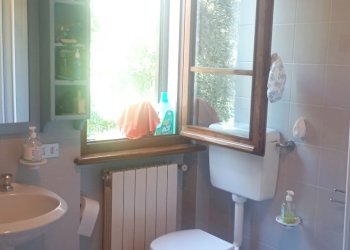 1695128877174.jpg - Villa Massarosa - photo 5