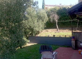 1695128877189.jpg - Villa Massarosa - photo 9
