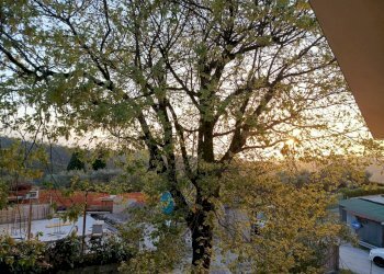 IMG_20260415_194323.jpg - Villa Massarosa - photo 17