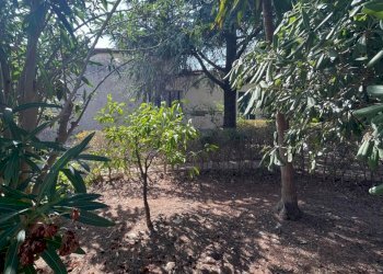 IMG_6050.jpg - Villa Strada Provinciale 107, Modica - foto 7