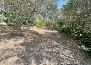 IMG_6059.jpg - Villa Strada Provinciale 107, Modica - foto 13