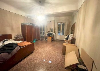 Stable - Palace Reggio nell'Emilia - photo 5