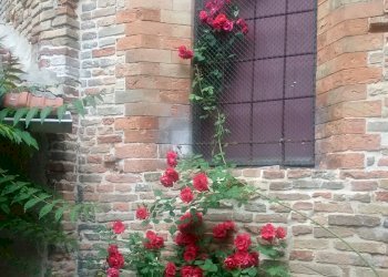 Casa indipendente Ravenna (zona Centro Storico) - foto 7