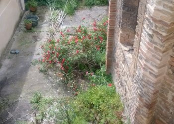 Casa indipendente Ravenna (zona Centro Storico) - foto 9