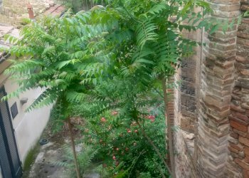 Casa indipendente Ravenna (zona Centro Storico) - foto 14