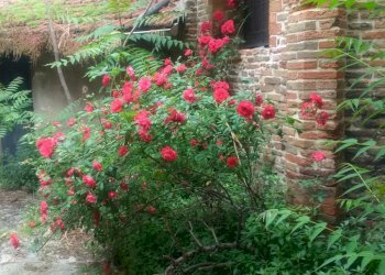 Casa indipendente Ravenna (zona Centro Storico) - foto 17