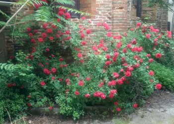 Casa indipendente Ravenna (zona Centro Storico) - foto 18