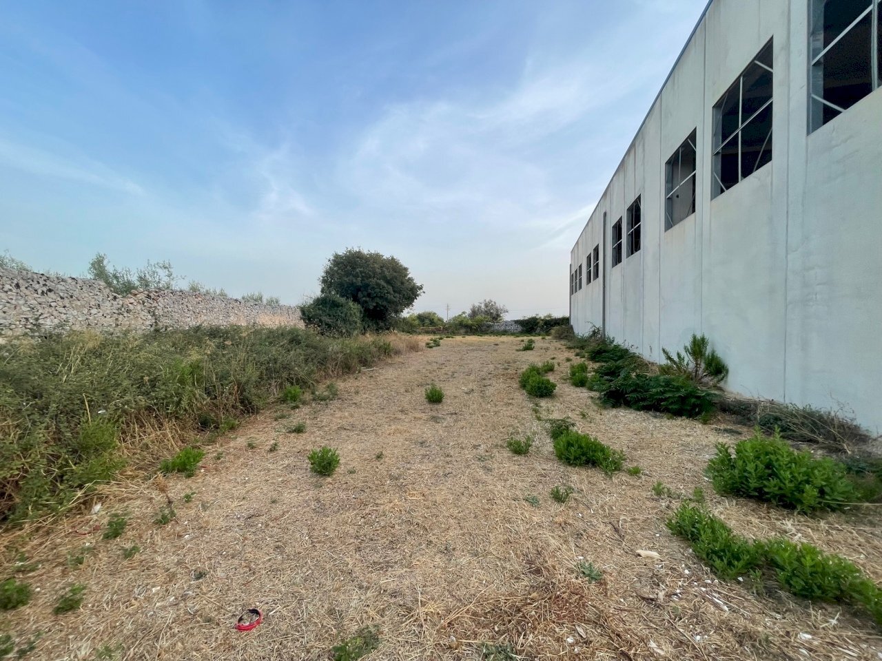 IMG_6132.jpg - Capannone C.da Musebbi, Modica - foto 2