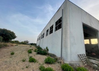 IMG_6131.jpg - Capannone C.da Musebbi, Modica - foto 6